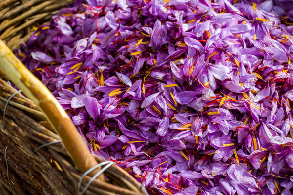 Hand-Picked Saffron